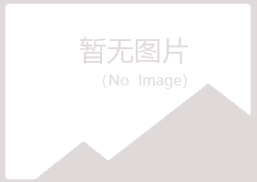 黑山县孤风咨询有限公司